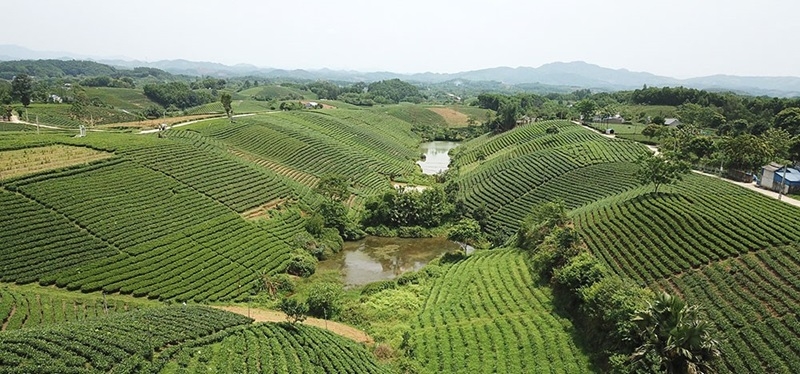 Thái Nguyên: Đề nghị xét, công nhận huyện Đại Từ đạt chuẩn Nông thôn mới năm 2023