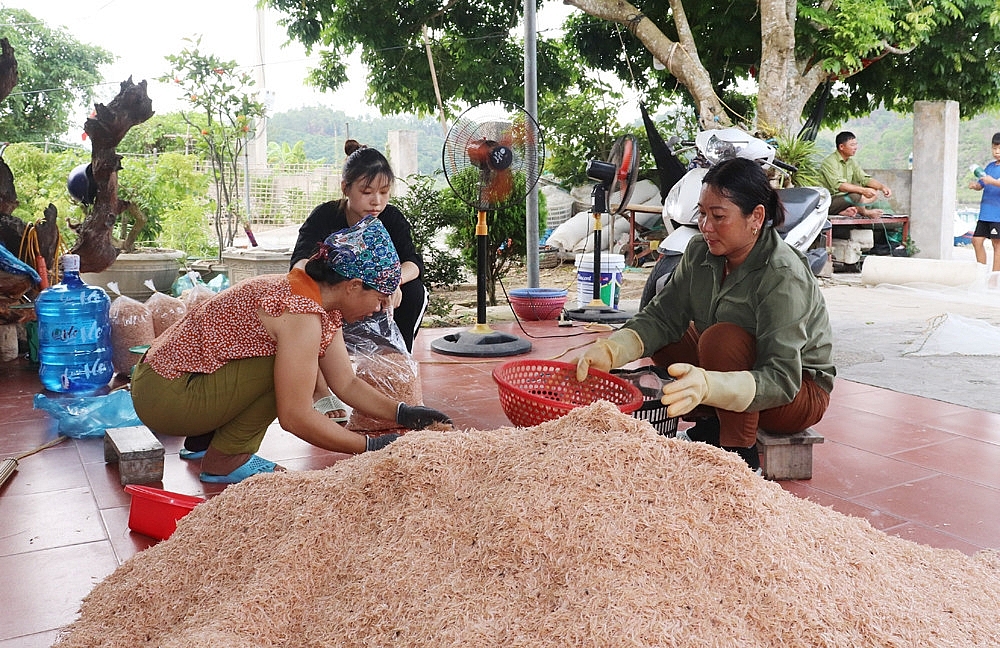 Quảng Ninh: Vân Đồn nhiều tin vui chào năm mới