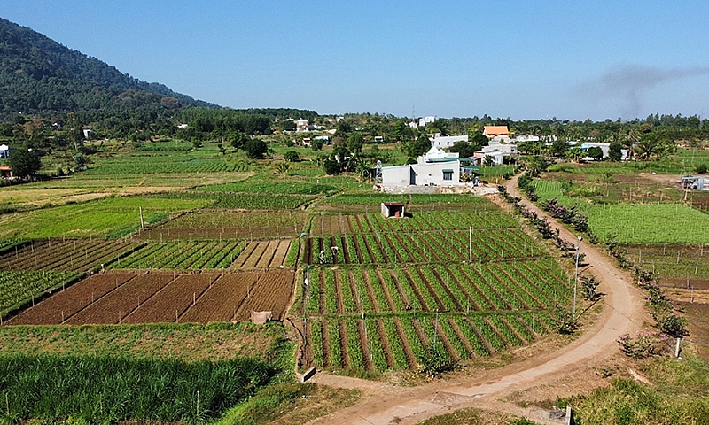 Nông thôn mới khởi sắc nhờ nông dân “chịu chơi”