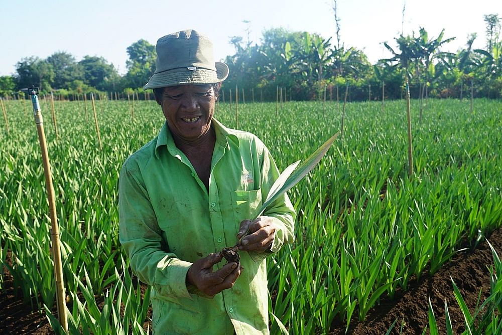 Nông thôn mới khởi sắc nhờ nông dân “chịu chơi”