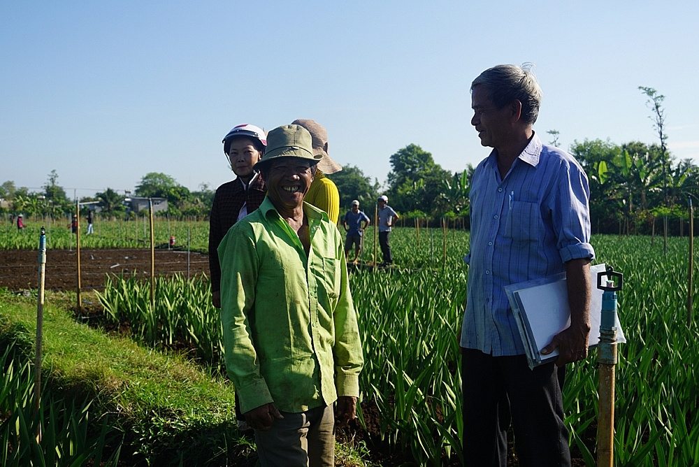 Nông thôn mới khởi sắc nhờ nông dân “chịu chơi”