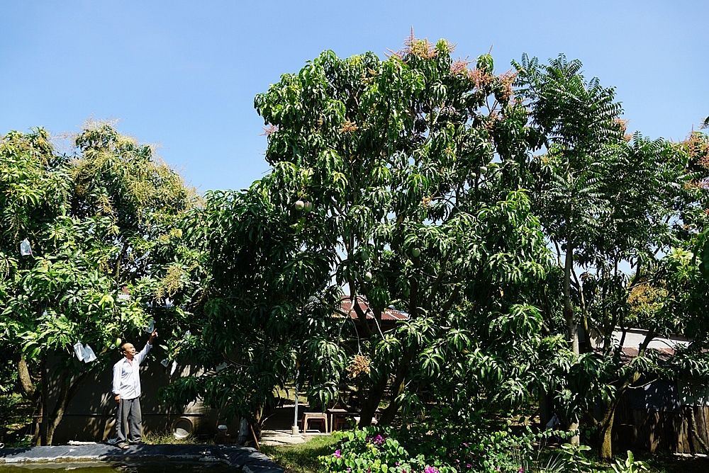 Nông thôn mới khởi sắc nhờ nông dân “chịu chơi”