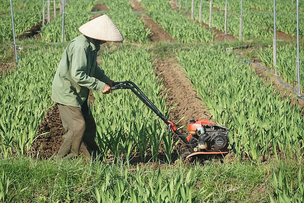 Nông thôn mới khởi sắc nhờ nông dân “chịu chơi”