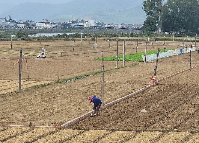 Bình Định: Tây Sơn nỗ lực về đích Nông thôn mới