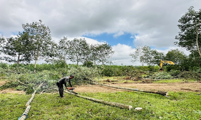 Đắk Lắk: Đẩy nhanh tiến độ thi công Dự án đường bộ cao tốc Khánh Hòa – Buôn Ma Thuột giai đoạn 1