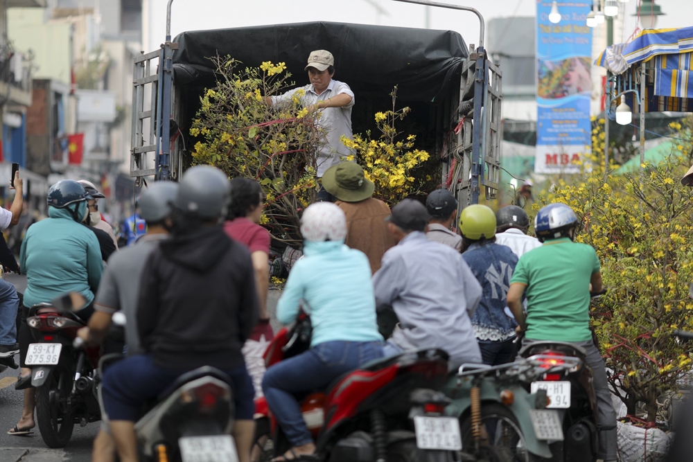 Thành phố Hồ Chí Minh: Chợ hoa xuân 