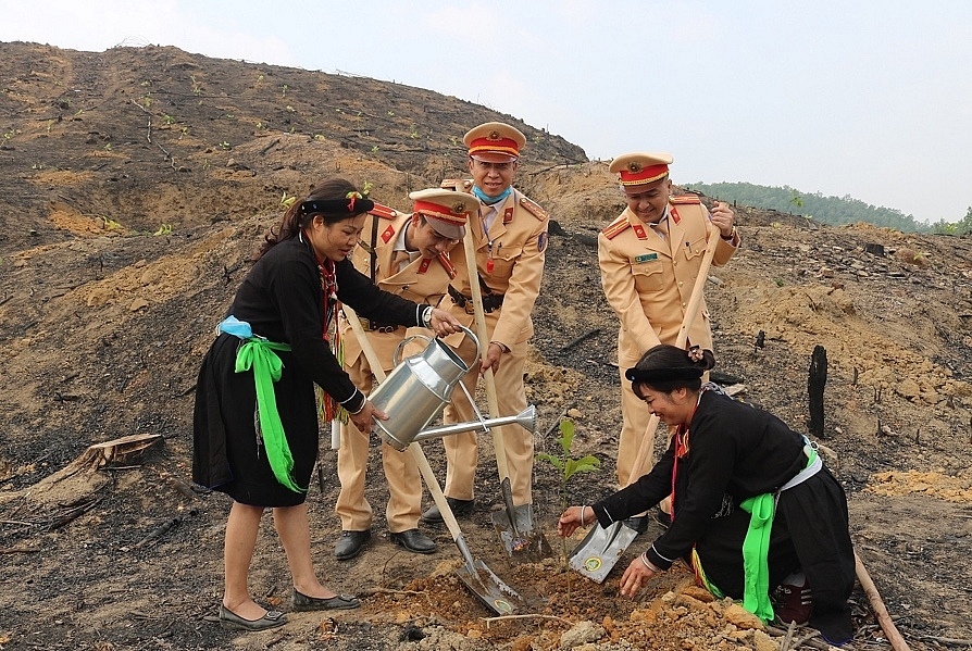 Quảng Ninh: Trồng rừng “đất nào cây ấy”