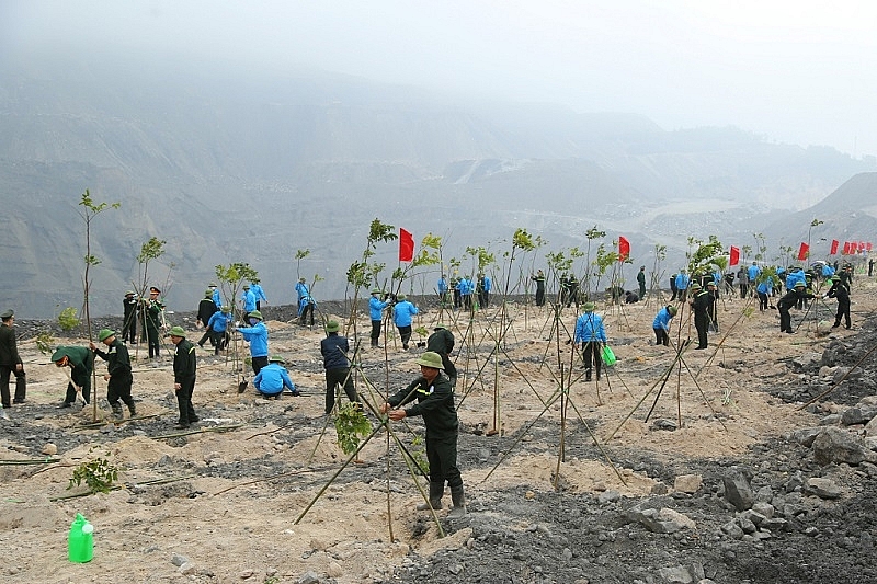 Các địa phương tỉnh Quảng Ninh đồng loạt phát động Tết trồng cây “Đời đời nhớ ơn Bác Hồ” Xuân Giáp Thìn 2024