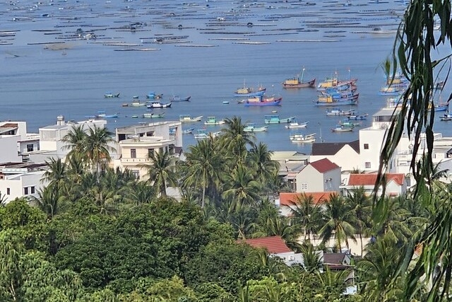 Phú Yên: Vịnh Xuân Đài – Điểm ngắm bình minh hấp dẫn nhất Việt Nam