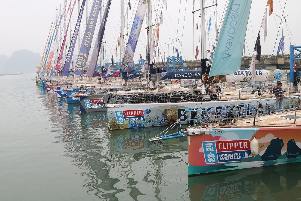 Quảng Ninh: Đón đoàn đua thuyền buồm vòng quanh trái đất đến vịnh Hạ Long