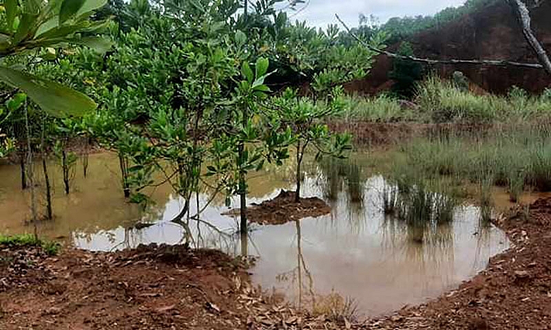 Thanh Hóa: Chỉ đạo đóng cửa các mỏ khoáng sản hết hạn sau phản ánh của Báo điện tử Xây dựng