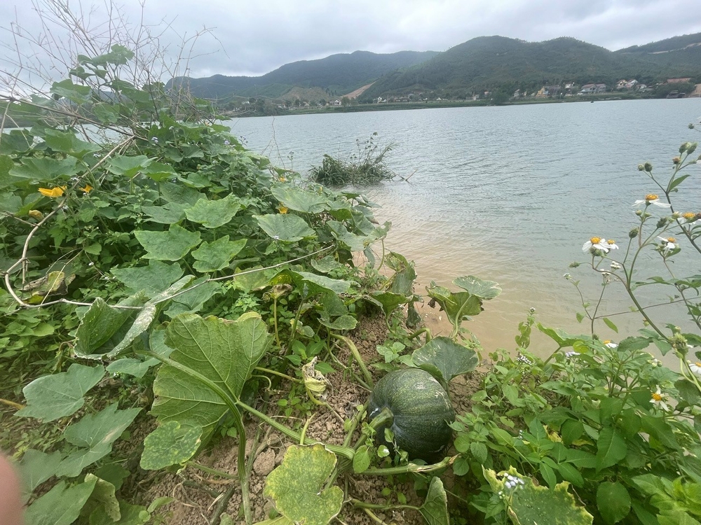 Quảng Bình: Khai thác cát 