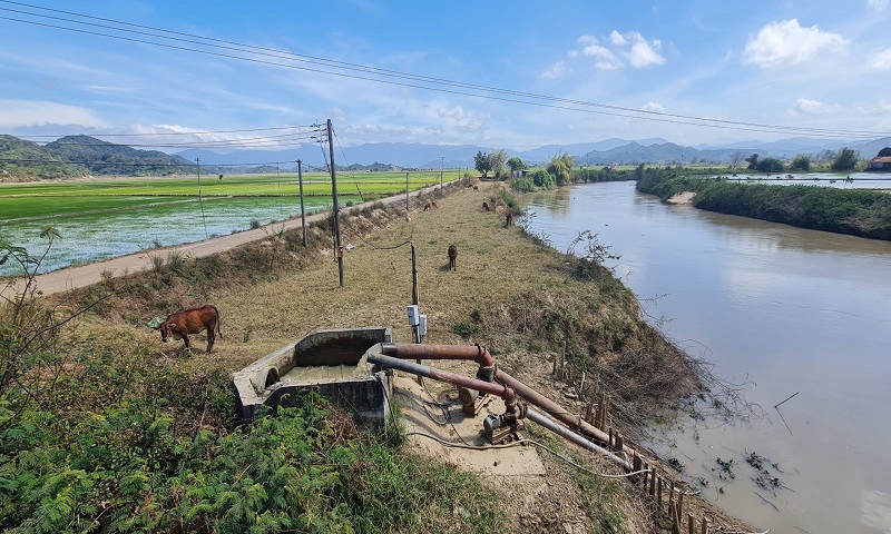 Đắk Lắk: Sở Thông tin và Truyền thông đề nghị phản hồi thông tin phản ánh đăng trên Báo điện tử Xây dựng