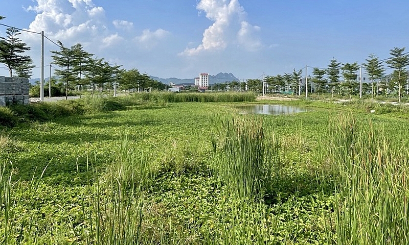 Ninh Bình: Tỷ lệ xây dựng nhà tại các khu đất đấu giá còn thấp