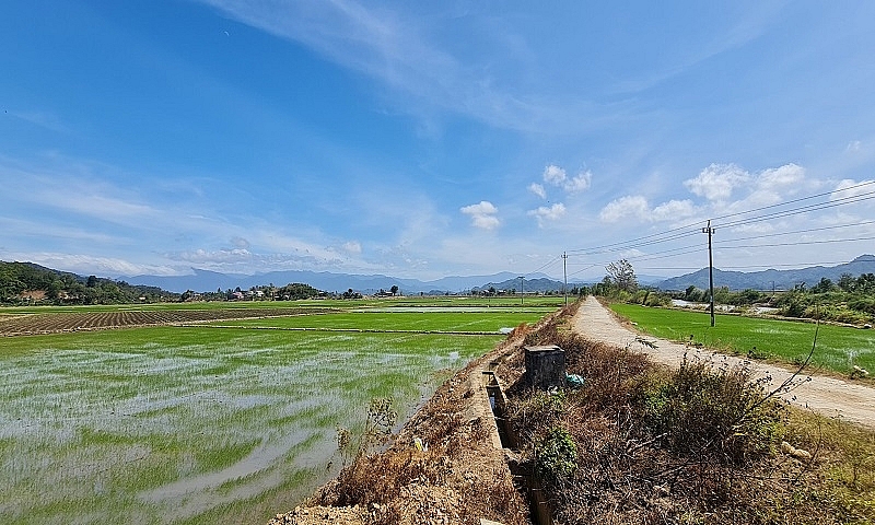 Vụ người dân tố Hợp tác xã Thanh Bình tham ô hàng chục tỷ đồng thủy lợi phí: Sở Tài chính đang hoàn thành kết quả giám định