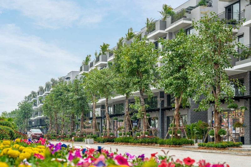 Choáng ngợp với tiến độ bàn giao, không gian sống như nghỉ dưỡng tại Eco Central Park