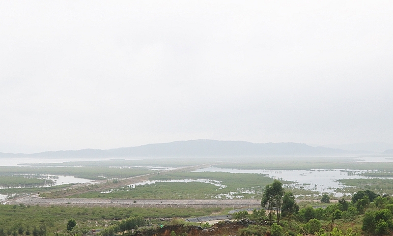 Quảng Ninh: Huyện Đầm Hà thông tin chính thức về việc làm đê hơn trăm tỷ rồi bỏ không