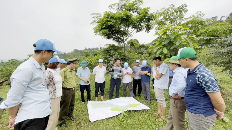 Hiệu quả lớn từ chương trình “Góp một cây để có rừng” do VARS khởi xướng