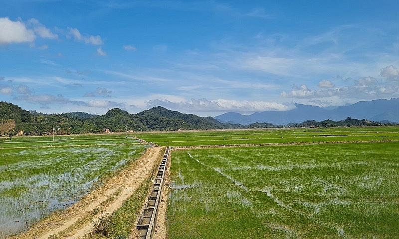 Krông Ana (Đắk Lắk): Người dân tố cáo Hợp tác xã Thanh Bình tham ô hàng chục tỷ đồng Thủy lợi phí