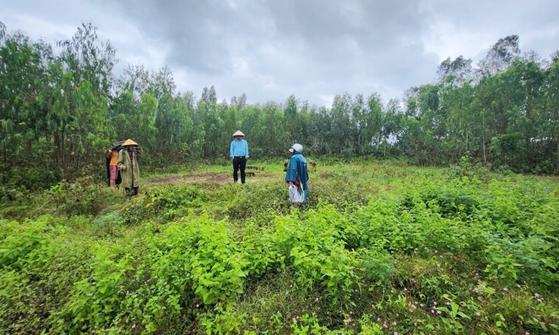 Bình Định: Đất xây dựng mồ mả biến thành đất nông nghiệp?