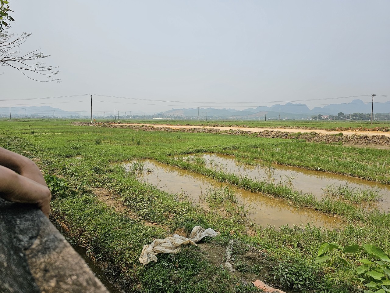 Nông Cống (Thanh Hóa): Cần thu hồi hết diện tích đất lúa xen kẹt, không thể canh tác của người dân