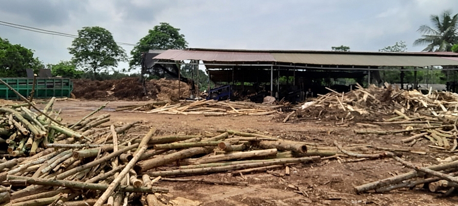 Thanh Hóa: Mặc cho tỉnh đôn đốc, UBND huyện Thạch Thành vẫn “bình chân như vại” trong xử lý các xưởng gỗ keo vi phạm