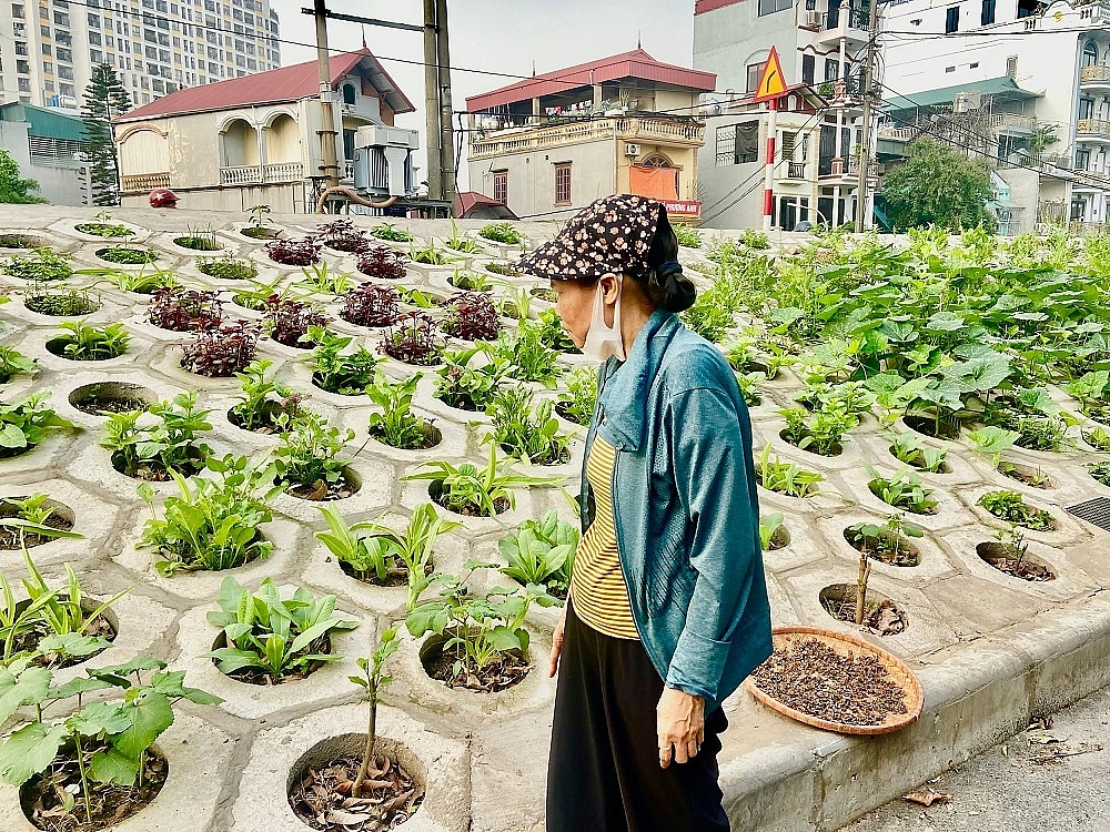 Hà Nội: Khoảng xanh trên đường Nguyễn Khoái, điểm nhấn tạo cảnh quan đô thị