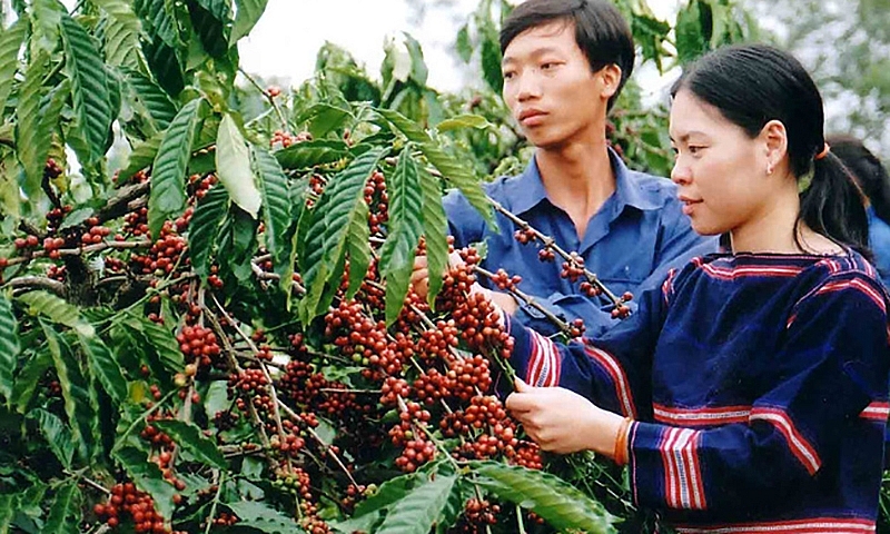 Phát triển vùng Tây Nguyên bền vững, có nền kinh tế xanh, tuần hoàn