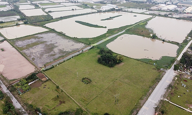 Bộ Tài nguyên và Môi trường đề xuất Luật Đất đai năm 2024 có hiệu lực thi hành từ 1/7/2024