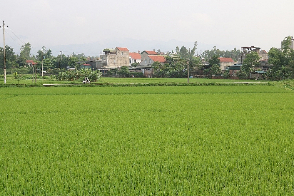 Quảng Ninh: Xã Lê Lợi xây dựng hạ tầng theo hướng phát triển đô thị