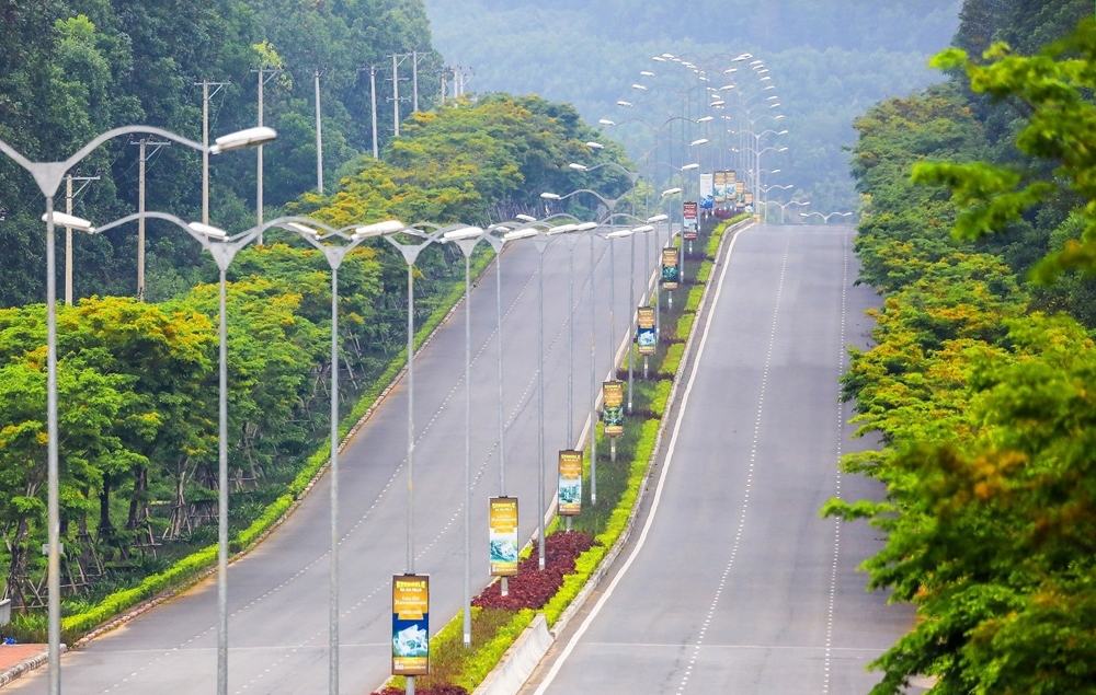 Phát triển cây xanh thành phố Đà Nẵng khi “đất xanh” quý hơn “đất vàng”