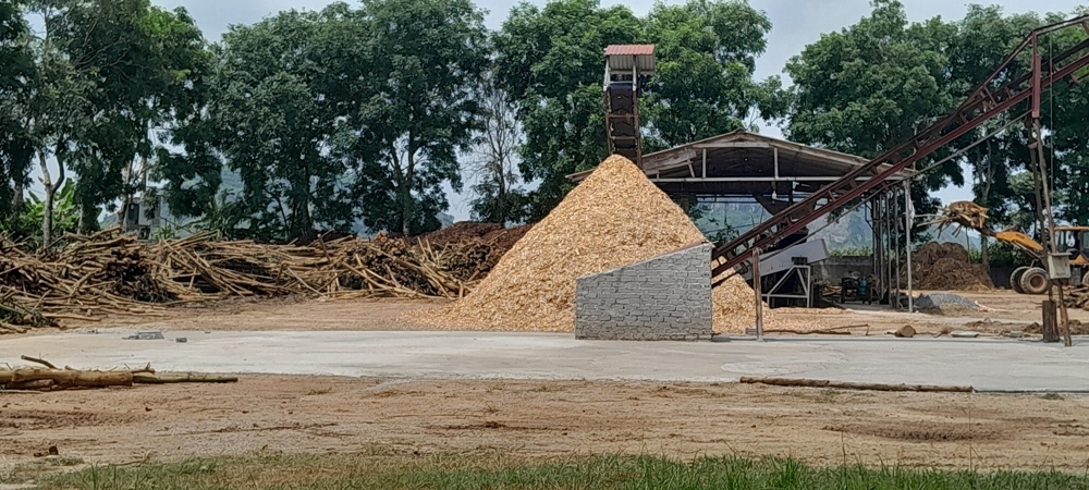 Vĩnh Lộc (Thanh Hóa): Cần thực hiện nghiêm túc việc kiểm tra, xử lý các cơ sở thu mua, chế biến gỗ keo vi phạm