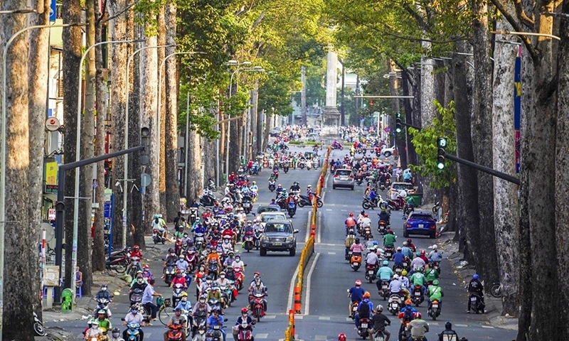 Thành phố Hồ Chí Minh yêu cầu các Sở, ngành cung cấp hồ sơ cây xanh cho Bộ Công an