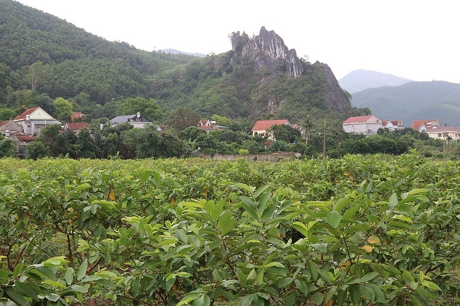 Quảng Ninh: Xã Quảng La đi lên từng ngày