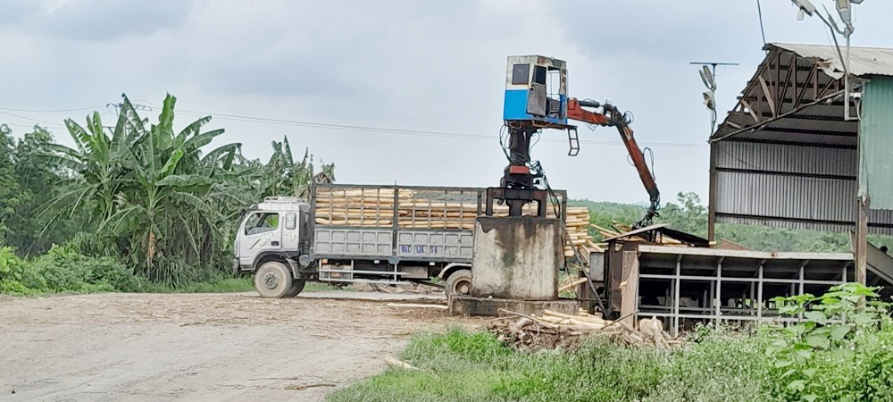 Thanh Hóa: Công ty TNHH Thanh Thành Đạt xây dựng và hoạt động trái phép xưởng chế biến gỗ keo nhiều năm