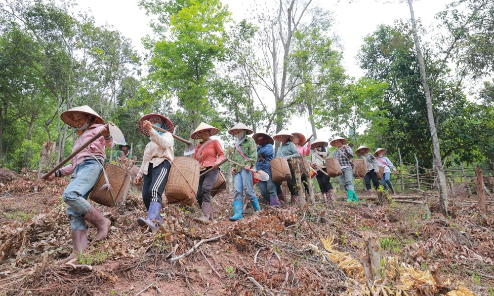 Khởi động chiến dịch “Vì một Việt Nam xanh và phát triển bền vững”