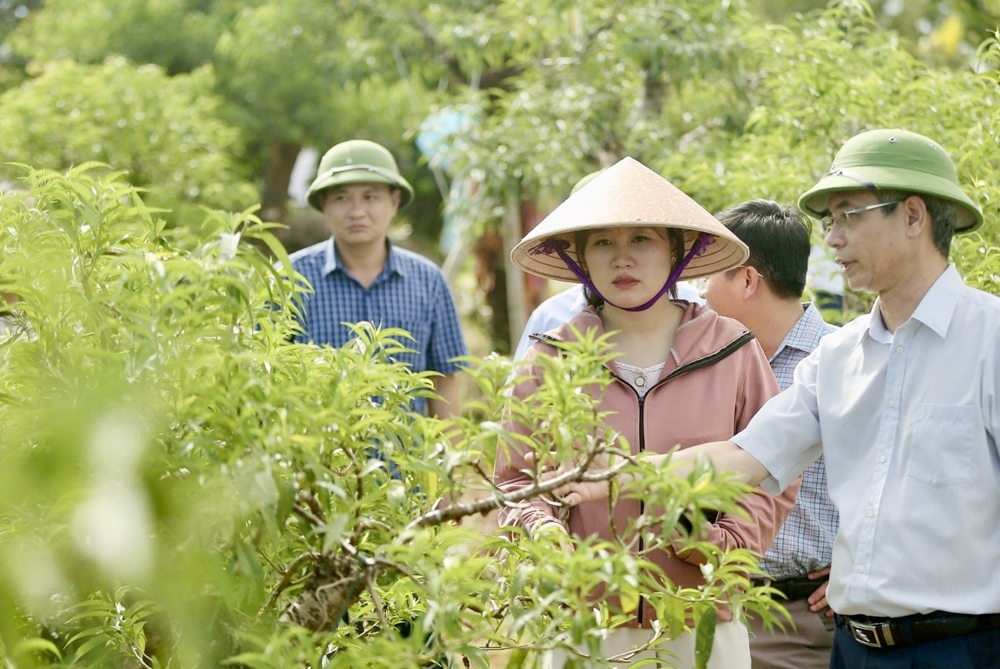 Thanh Hóa: Tổ chức cho phóng viên báo chí tác nghiệp tại huyện Triệu Sơn