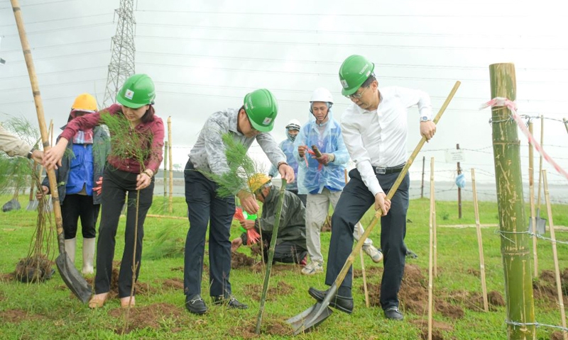 Petrovietnam: Trồng cây xanh là giải pháp quan trọng trong chuyển dịch năng lượng