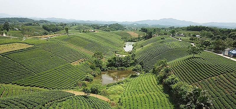 Thái Nguyên giữ vai trò quan trọng trong quy hoạch vùng Trung du và miền núi phía Bắc