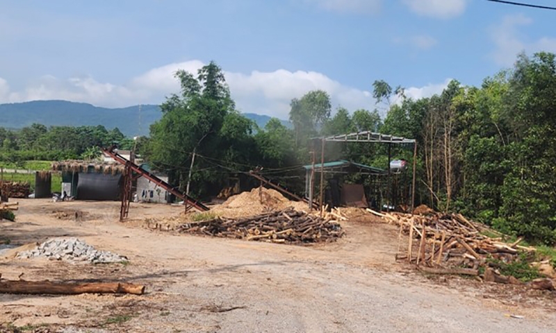 Nghi Sơn (Thanh Hóa): Yêu cầu tháo dỡ các công trình sản xuất băm dăm gỗ trái phép