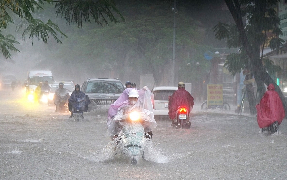 Công ty TNHH MTV Môi trường đô thị Hải Phòng: Ứng phó kịp thời sự cố môi trường sau mưa, lũ