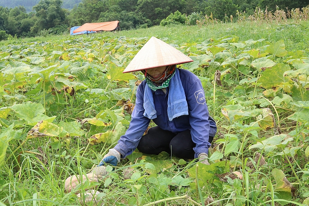 Hạ Long: Xã Vũ Oai đổi mới diện mạo nông thôn mới