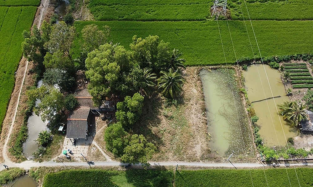 Bắc Giang: Công bố đơn giá bồi thường tài sản trên đất cây trồng tháng 7/2024