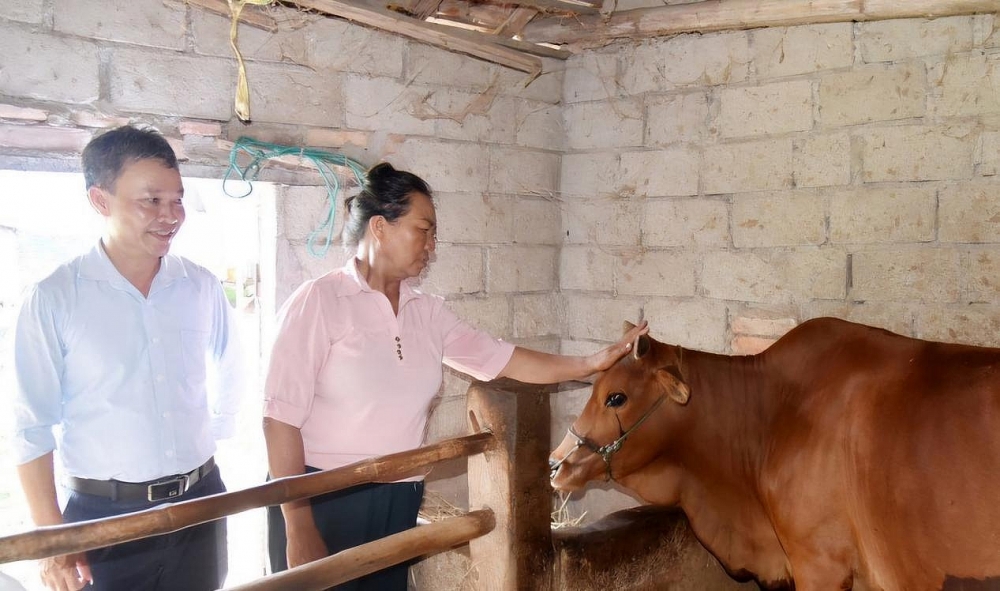 Hà Tĩnh: Đẩy mạnh giải ngân nguồn vốn Chương trình mục tiêu quốc gia giảm nghèo bền vững