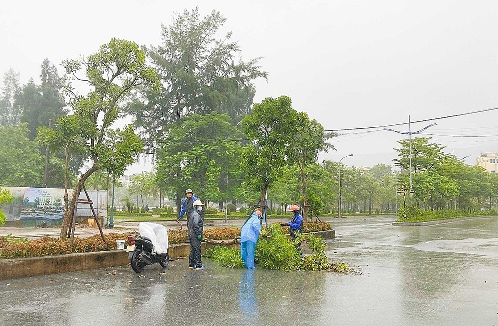 Bộ trưởng Bộ Nông nghiệp và Phát triển nông thôn kiểm tra công tác phòng chống bão ở Quảng Ninh