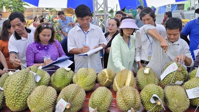 Khai mạc Lễ hội trái cây Khánh Sơn lần thứ III năm 2024