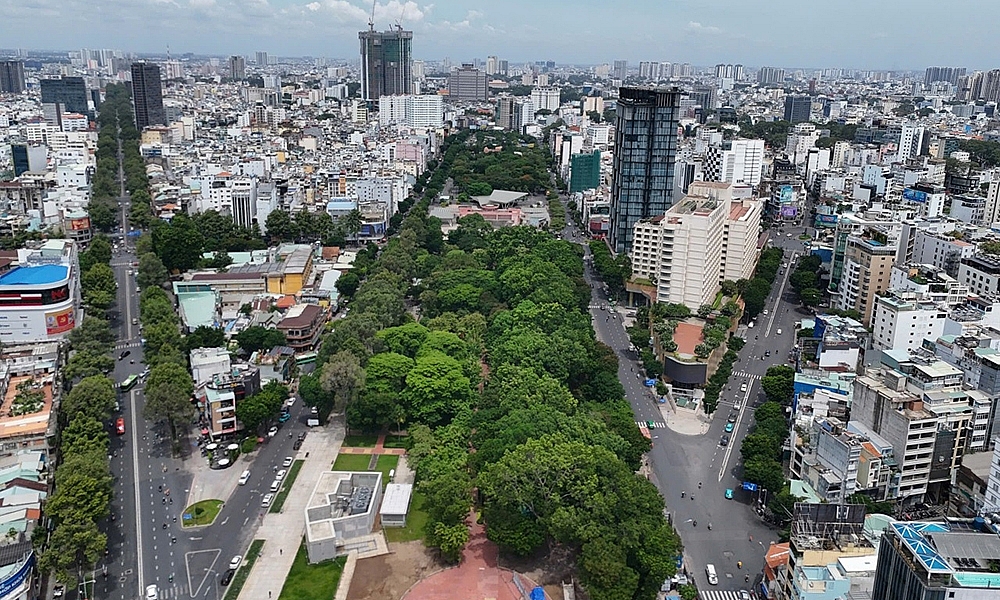 Thành phố Hồ Chí Minh: Thực hiện các giải pháp đảm bảo an toàn đối với hệ thống cây xanh