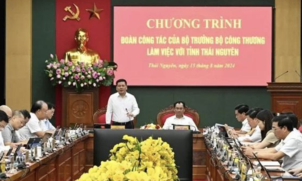 Bộ trưởng Bộ Công Thương Nguyễn Hồng Diên làm việc tại tỉnh Thái Nguyên