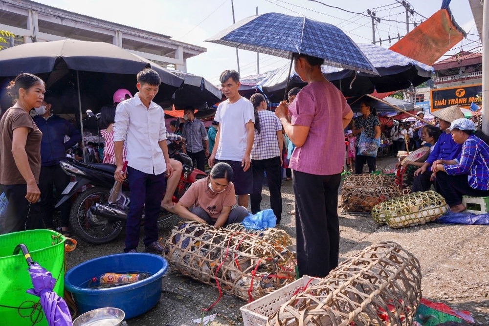 Vẻ đẹp Cao Bằng - Những ngày thu tháng Tám lịch sử