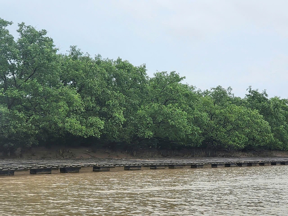 Thái Bình: 12.500ha Khu bảo tồn thiên nhiên đất ngập nước Tiền Hải được giữ nguyên trạng